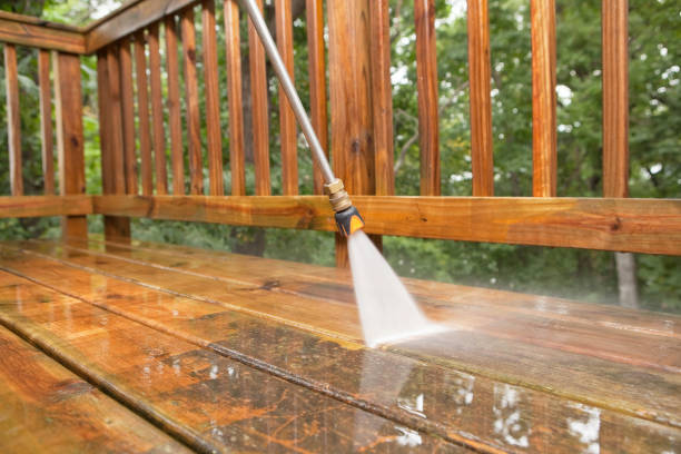 Best Sidewalk and Walkway Cleaning  in Ferrum, VA